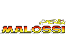 Malossi